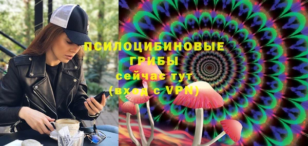 сатива Абдулино