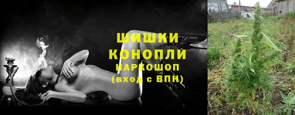 сатива Абдулино