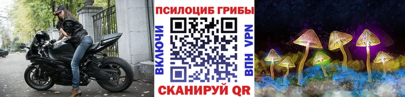 продажа наркотиков  Калачинск  Галлюциногенные грибы Magic Shrooms 