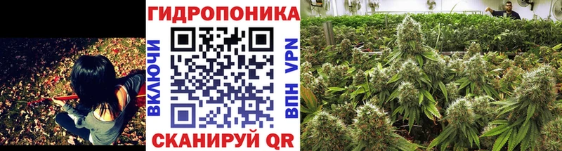 наркошоп Калачинск Бошки марихуана гибрид